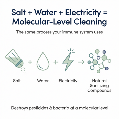 The Produce Protector